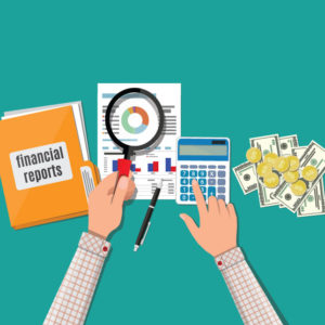 Presupuestos e Informes Financieros - Budgets and Financial Reports