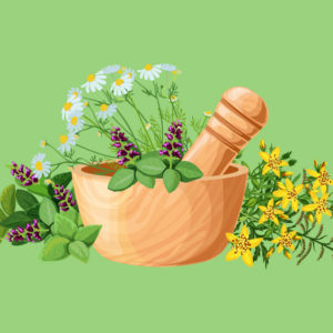 Master Herbalist Course