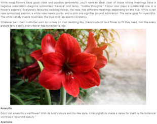 Screenshot_1